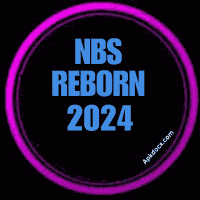 NBS Reborn 2025 APK logo, an app for unlocking premium features like skins and drone views in Mobile Legends.