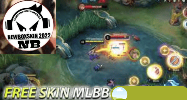 Box Skin Injector