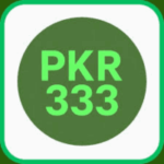 PKR 333 Game shows a white background with pkr 333